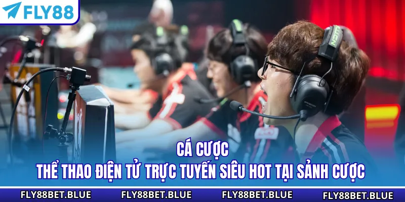 Cá cược thể thao điện tử trực tuyến siêu hot tại sảnh cược