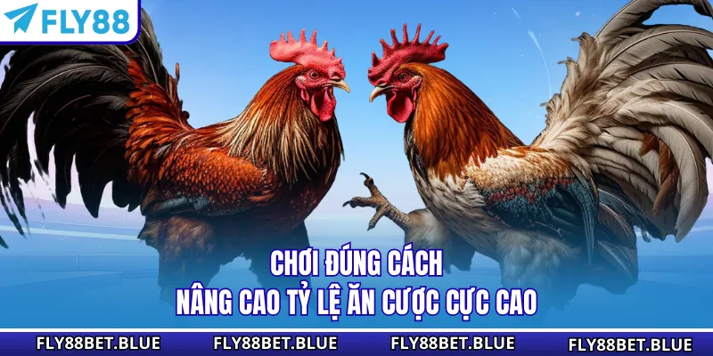 Chơi đúng cách nâng cao tỷ lệ ăn cược cực cao