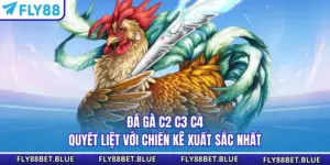 Đá Gà C2 C3 C4 - Quyết Liệt Với Chiến Kê Xuất Sắc Nhất
